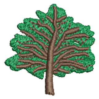 Tree 11727