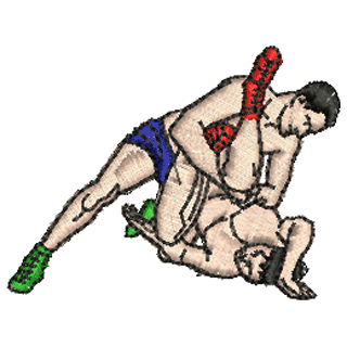 Wrestling 10286
